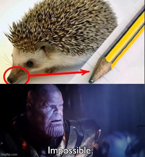how pencils are made of | image tagged in thanos impossible | made w/ Imgflip meme maker