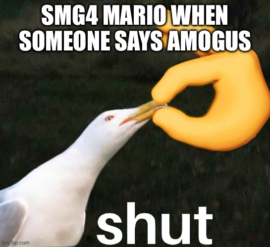 ……….. | SMG4 MARIO WHEN SOMEONE SAYS AMOGUS | image tagged in bird shut,smg4 | made w/ Imgflip meme maker