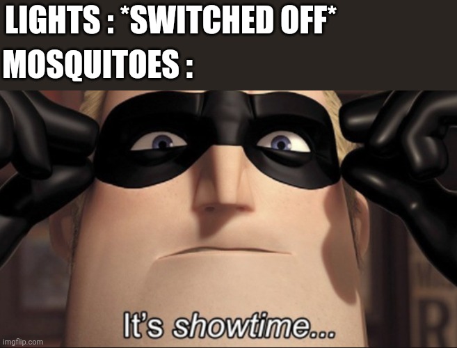 It's showtime | LIGHTS : *SWITCHED OFF*; MOSQUITOES : | image tagged in it's showtime | made w/ Imgflip meme maker