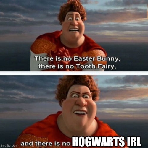 TIGHTEN MEGAMIND "THERE IS NO EASTER BUNNY" | HOGWARTS IRL | image tagged in tighten megamind there is no easter bunny | made w/ Imgflip meme maker