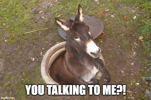 Asshole | YOU TALKING TO ME?! | image tagged in asshole | made w/ Imgflip meme maker