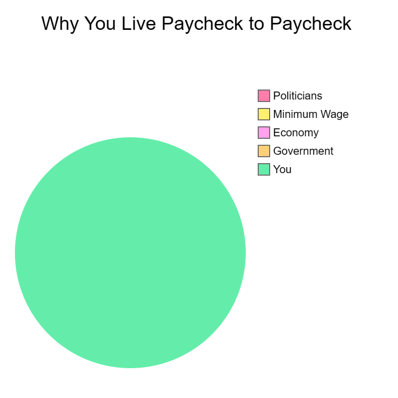 Paycheck Reality Check | Why You Live Paycheck to Paycheck | You, Government, Economy, Minimum Wage, Politicians | image tagged in pie charts,government,politicians,economy,so true memes,minimum wage | made w/ Imgflip chart maker