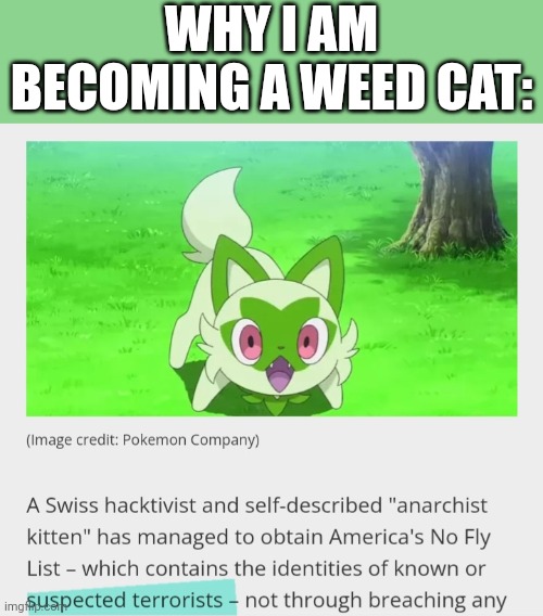 WHY I AM BECOMING A WEED CAT: | image tagged in sprigatito | made w/ Imgflip meme maker