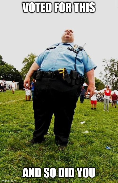 Your Democrat Party | VOTED FOR THIS; AND SO DID YOU | image tagged in fat cop,lowered exceptions | made w/ Imgflip meme maker