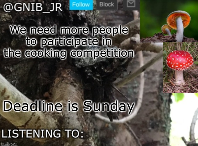 If you are participating, please submit what you are presenting in comments. | We need more people to participate in the cooking competition; Deadline is Sunday | image tagged in gnib_jr's new temp | made w/ Imgflip meme maker