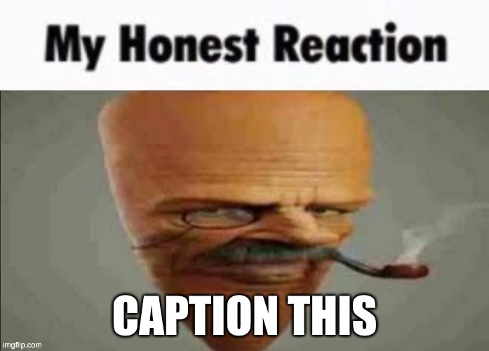 Caption this | CAPTION THIS | image tagged in my honest reaction,caption this | made w/ Imgflip meme maker