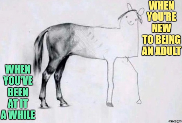 Adult Humor | WHEN YOU'RE NEW TO BEING AN ADULT; WHEN YOU'VE BEEN AT IT A WHILE | image tagged in horse drawing,adult humor,adult swim,funny memes,growing up,lol | made w/ Imgflip meme maker