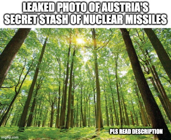 This is based on something that happened in 2019 or something where Donald trump said Austria had forest cities and exploding tr | LEAKED PHOTO OF AUSTRIA'S SECRET STASH OF NUCLEAR MISSILES; PLS READ DESCRIPTION | image tagged in tree | made w/ Imgflip meme maker