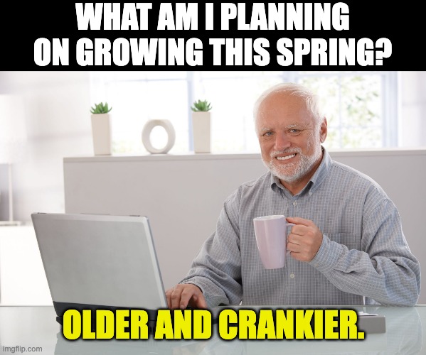 Spring | WHAT AM I PLANNING ON GROWING THIS SPRING? OLDER AND CRANKIER. | image tagged in hide the pain harold large,dad joke | made w/ Imgflip meme maker