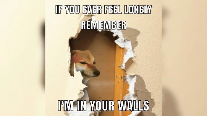 High Quality doge in walls Blank Meme Template