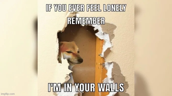 doge in walls | image tagged in doge in walls | made w/ Imgflip meme maker