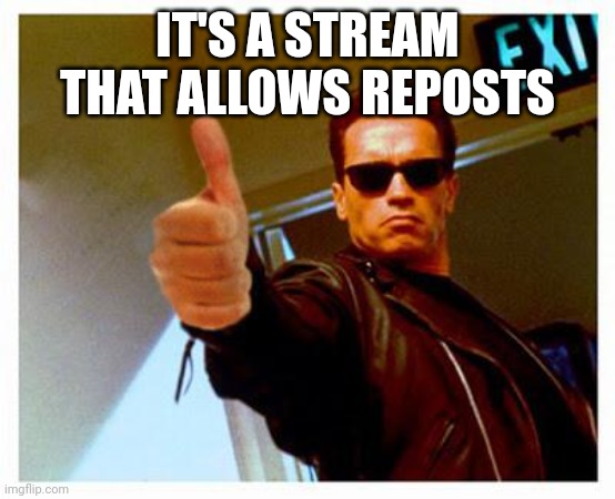 terminator thumbs up | IT'S A STREAM THAT ALLOWS REPOSTS | image tagged in terminator thumbs up | made w/ Imgflip meme maker