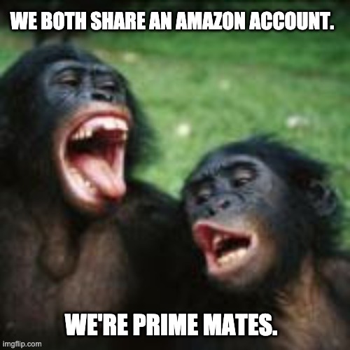 Amazon | image tagged in bad pun | made w/ Imgflip meme maker