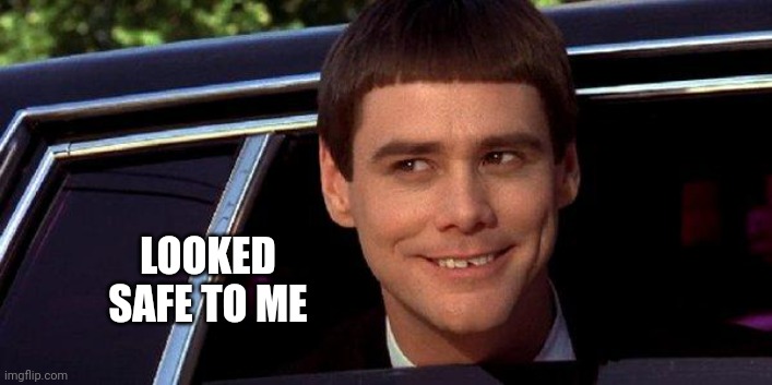 dumb and dumber | LOOKED SAFE TO ME | image tagged in dumb and dumber | made w/ Imgflip meme maker