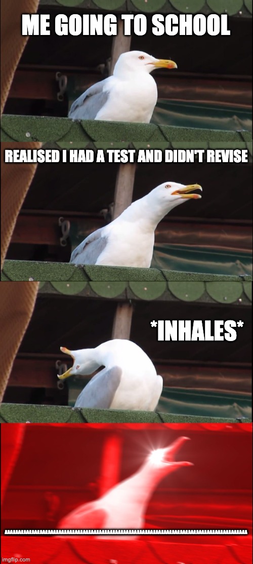Inhaling Seagull |  ME GOING TO SCHOOL; REALISED I HAD A TEST AND DIDN'T REVISE; *INHALES*; AAAAAAAAAAAAAAAAAAAAAAAAAAAAAAAAAAAAAAAAAAAAAAAAAAAAAAAAAAAAAAAAAAAAAAAAAAAAAAAAAAAAAAAAAA | image tagged in memes,inhaling seagull | made w/ Imgflip meme maker