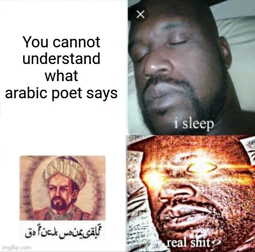Really bro | You cannot understand what arabic poet says | image tagged in memes,sleeping shaq | made w/ Imgflip meme maker