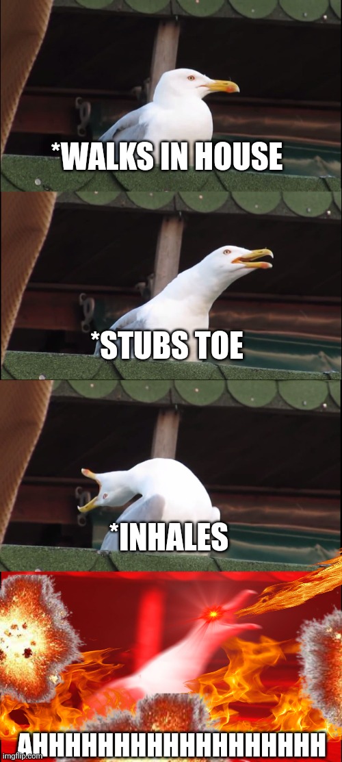 Inhaling Seagull Meme | *WALKS IN HOUSE; *STUBS TOE; *INHALES; AHHHHHHHHHHHHHHHHHH | image tagged in memes,inhaling seagull | made w/ Imgflip meme maker