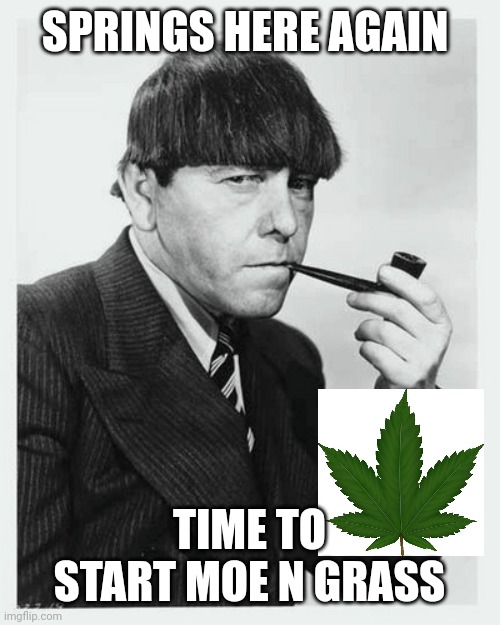 Moe with pipe 3 stooges | SPRINGS HERE AGAIN; TIME TO START MOE N GRASS | image tagged in moe with pipe 3 stooges | made w/ Imgflip meme maker