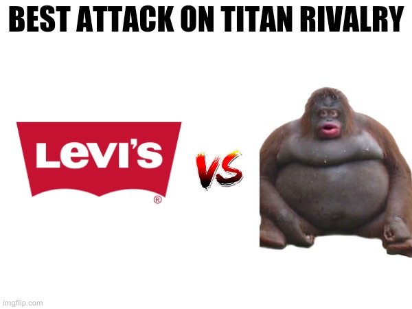 Levi vs beast titan (I also love aot) | BEST ATTACK ON TITAN RIVALRY | image tagged in attack on titan,monke,levi,anime,memes | made w/ Imgflip meme maker