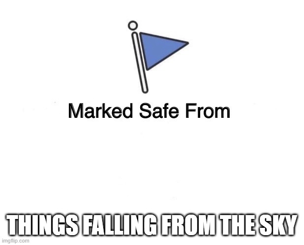 Marked Safe From |  THINGS FALLING FROM THE SKY | image tagged in marked safe from | made w/ Imgflip meme maker