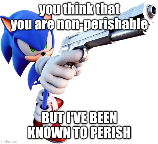 you're at gunpoint | you think that you are non-perishable; BUT I'VE BEEN KNOWN TO PERISH | image tagged in sonic with a gun,memes,video games | made w/ Imgflip meme maker