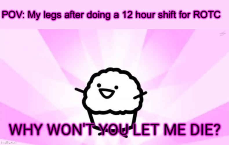 Why won't you let me die | POV: My legs after doing a 12 hour shift for ROTC | image tagged in why won't you let me die | made w/ Imgflip meme maker