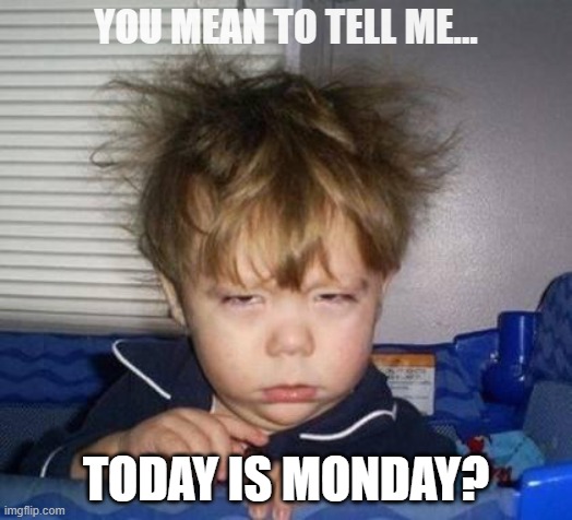 Wake up | YOU MEAN TO TELL ME... TODAY IS MONDAY? | image tagged in wake up | made w/ Imgflip meme maker