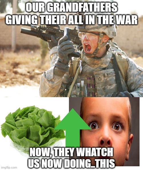 visible disappointment | OUR GRANDFATHERS GIVING THEIR ALL IN THE WAR; NOW, THEY WHATCH US NOW DOING..THIS | image tagged in us army soldier yelling radio iraq war,disappointment,grampa | made w/ Imgflip meme maker