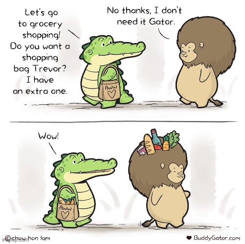 image tagged in memes,funny,wholesome | made w/ Imgflip meme maker