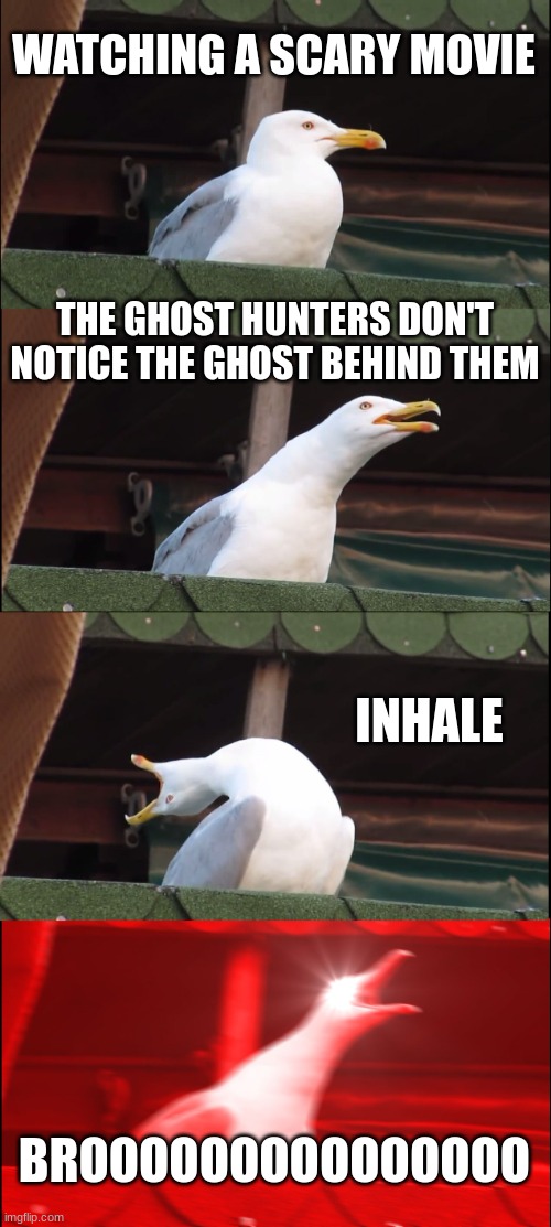 LOOK BEHIND YOU! | WATCHING A SCARY MOVIE; THE GHOST HUNTERS DON'T NOTICE THE GHOST BEHIND THEM; INHALE; BROOOOOOOOOOOOOOO | image tagged in memes,inhaling seagull | made w/ Imgflip meme maker