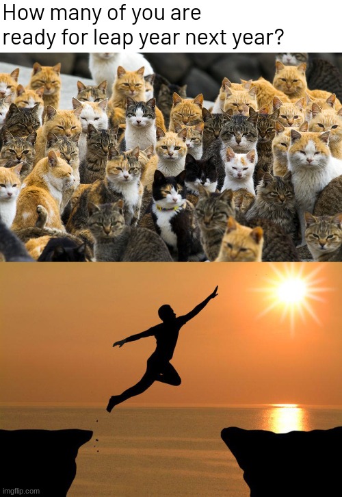 How many of you are ready for leap year next year? | image tagged in memes,funny,cats,front page plz | made w/ Imgflip meme maker