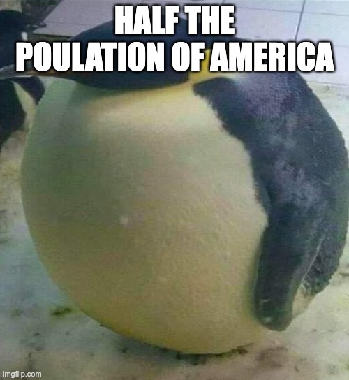 america | HALF THE POULATION OF AMERICA | image tagged in i'm da biggest bird | made w/ Imgflip meme maker