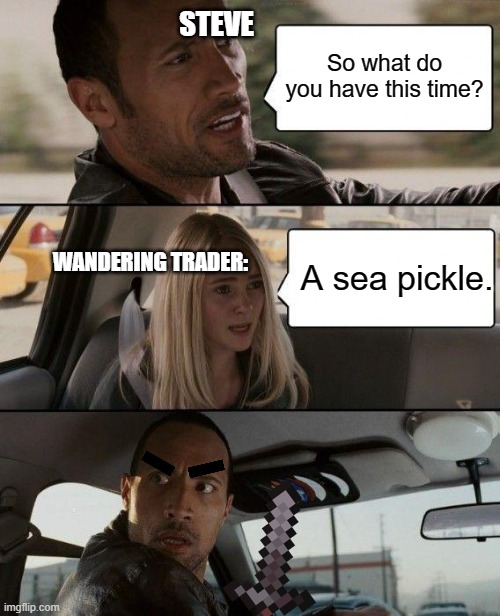 The Rock Driving | STEVE; So what do you have this time? WANDERING TRADER:; A sea pickle. | image tagged in memes,the rock driving | made w/ Imgflip meme maker