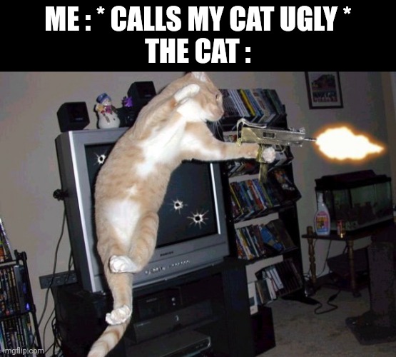 CALL OF DUTY KITTY STYLE | ME : * CALLS MY CAT UGLY *
THE CAT : | image tagged in call of duty kitty style | made w/ Imgflip meme maker