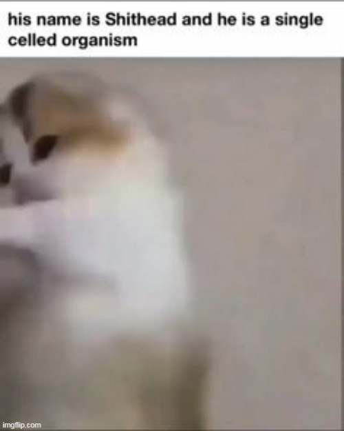 my old username real!??! | made w/ Imgflip meme maker