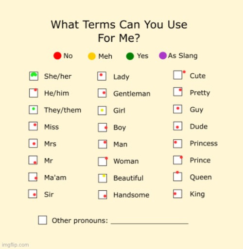 My gender | image tagged in pronouns sheet | made w/ Imgflip meme maker
