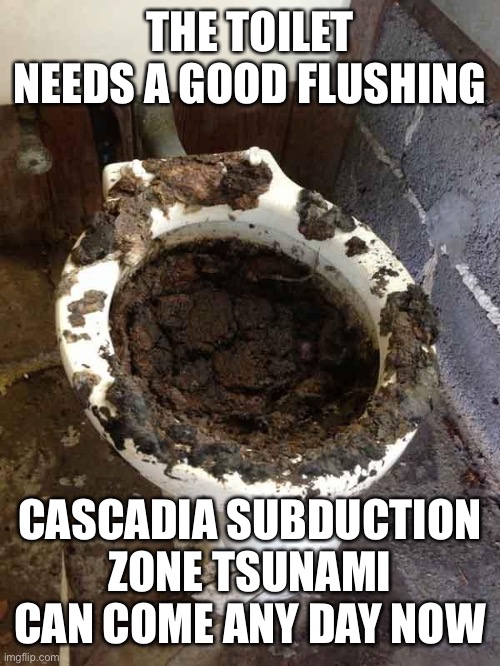 toilet | THE TOILET NEEDS A GOOD FLUSHING CASCADIA SUBDUCTION ZONE TSUNAMI CAN COME ANY DAY NOW | image tagged in toilet | made w/ Imgflip meme maker