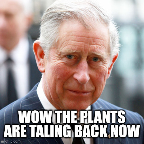 Prince Charles | WOW THE PLANTS ARE TALING BACK NOW | image tagged in prince charles | made w/ Imgflip meme maker