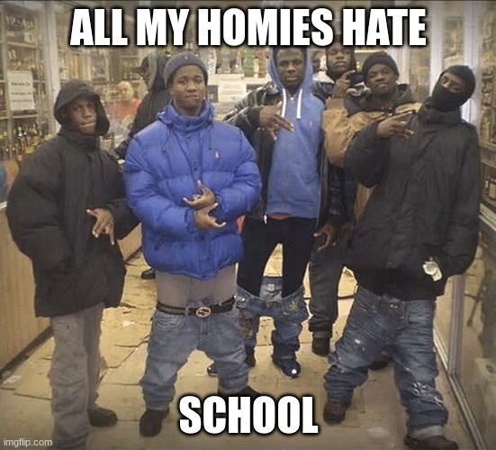 ALL MY HOMIES HATE | ALL MY HOMIES HATE; SCHOOL | image tagged in all my homies hate | made w/ Imgflip meme maker