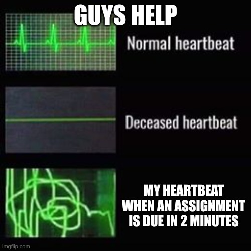 heartbeat rate | GUYS HELP; MY HEARTBEAT WHEN AN ASSIGNMENT IS DUE IN 2 MINUTES | image tagged in heartbeat rate | made w/ Imgflip meme maker