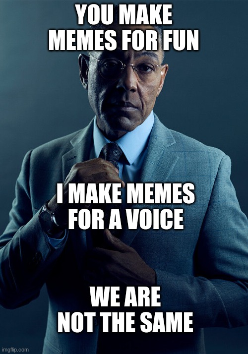 Gus Fring we are not the same | YOU MAKE MEMES FOR FUN; I MAKE MEMES FOR A VOICE; WE ARE NOT THE SAME | image tagged in gus fring we are not the same | made w/ Imgflip meme maker