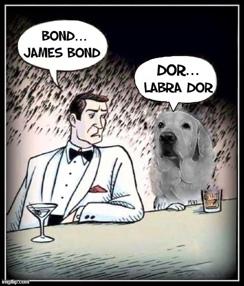 I Wonder What that Lab is Drinking...? | image tagged in vince vance,comics/cartoons,labrador,dogs,james bond,memes | made w/ Imgflip meme maker