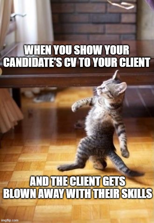 Recruitment in the renewable industry | WHEN YOU SHOW YOUR CANDIDATE'S CV TO YOUR CLIENT; AND THE CLIENT GETS BLOWN AWAY WITH THEIR SKILLS | image tagged in memes,cool cat stroll | made w/ Imgflip meme maker