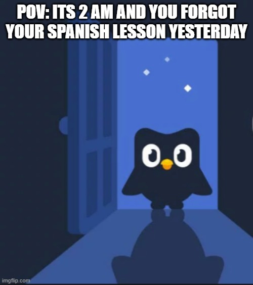 Duolingo bird | POV: ITS 2 AM AND YOU FORGOT YOUR SPANISH LESSON YESTERDAY | image tagged in duolingo bird | made w/ Imgflip meme maker