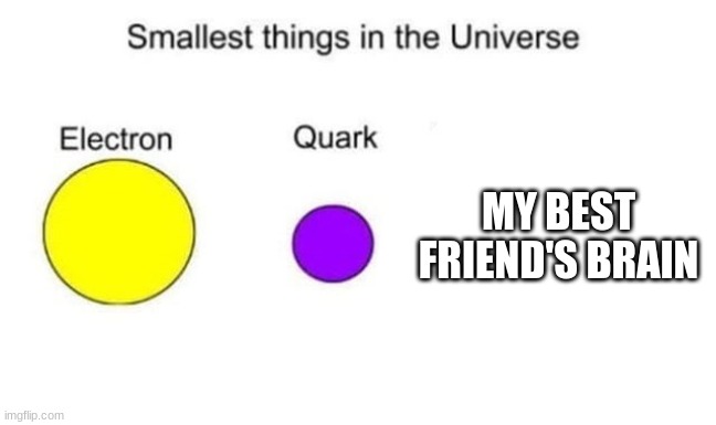 my friends brain is small | MY BEST FRIEND'S BRAIN | image tagged in memes | made w/ Imgflip meme maker