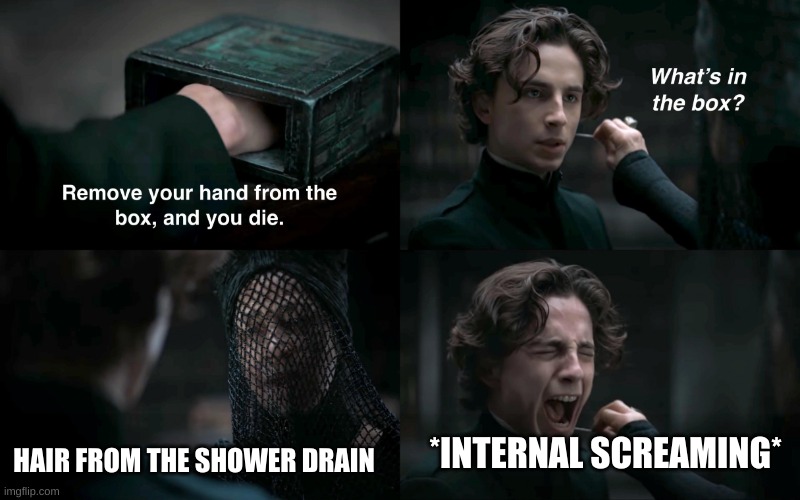 The suffering | HAIR FROM THE SHOWER DRAIN; *INTERNAL SCREAMING* | image tagged in dune what's in the box | made w/ Imgflip meme maker