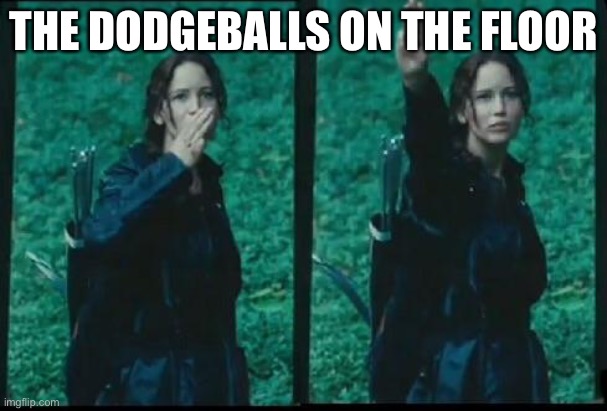 Hunger games  | THE DODGEBALLS ON THE FLOOR | image tagged in hunger games | made w/ Imgflip meme maker