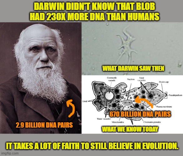 The Science of Genetics Destroying Evolution | DARWIN DIDN'T KNOW THAT BLOB HAD 230X MORE DNA THAN HUMANS; WHAT DARWIN SAW THEN; 670 BILLION DNA PAIRS; 2.9 BILLION DNA PAIRS; WHAT WE KNOW TODAY; IT TAKES A LOT OF FAITH TO STILL BELIEVE IN EVOLUTION. | image tagged in charles darwin,atheism,evolution,science,creation | made w/ Imgflip meme maker