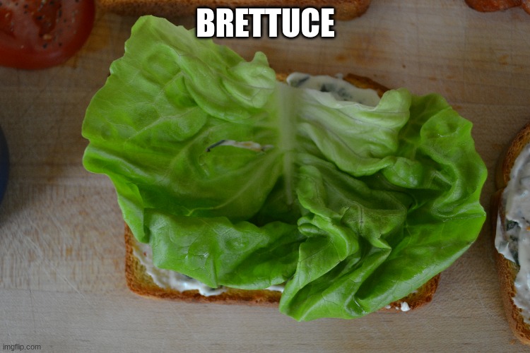 bread lettuce? |  BRETTUCE | image tagged in bred,lettuce,funny | made w/ Imgflip meme maker