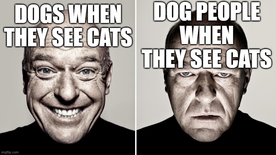 Dean Norris's reaction | DOG PEOPLE WHEN THEY SEE CATS; DOGS WHEN THEY SEE CATS | image tagged in dean norris's reaction,dogs,cats,memes | made w/ Imgflip meme maker